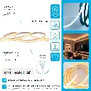 Gemini_Generated_Image_cw71uhcw71uhcw71.webp